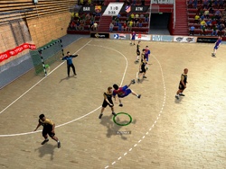 Handball Challenge 12 screenshot 1